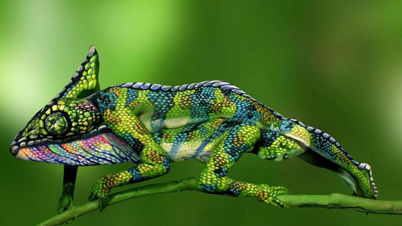 Wow, Bunglon dan Katak Ini Ternyata Perempuan yang Menyamar