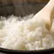 Ilustrasi nasi yang dihangatkan. Foto: InfoBarrel