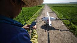 Seorang teknisi memeriksa drone di dekat hamparan sawah di Kota Yingkou, Provinsi Liaoning, China timur laut, pada 19 Juni 2020. Sejumlah drone digunakan untuk menyemprotkan pestisida dalam pengelolaan sawah guna meningkatkan efisiensi di Yingkou. (Xinhua/Pan Yulong)