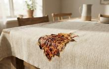 7 Cara Menghilangkan Noda Sambal yang Sudah Kering di Taplak Meja, Begini Panduan Praktisnya