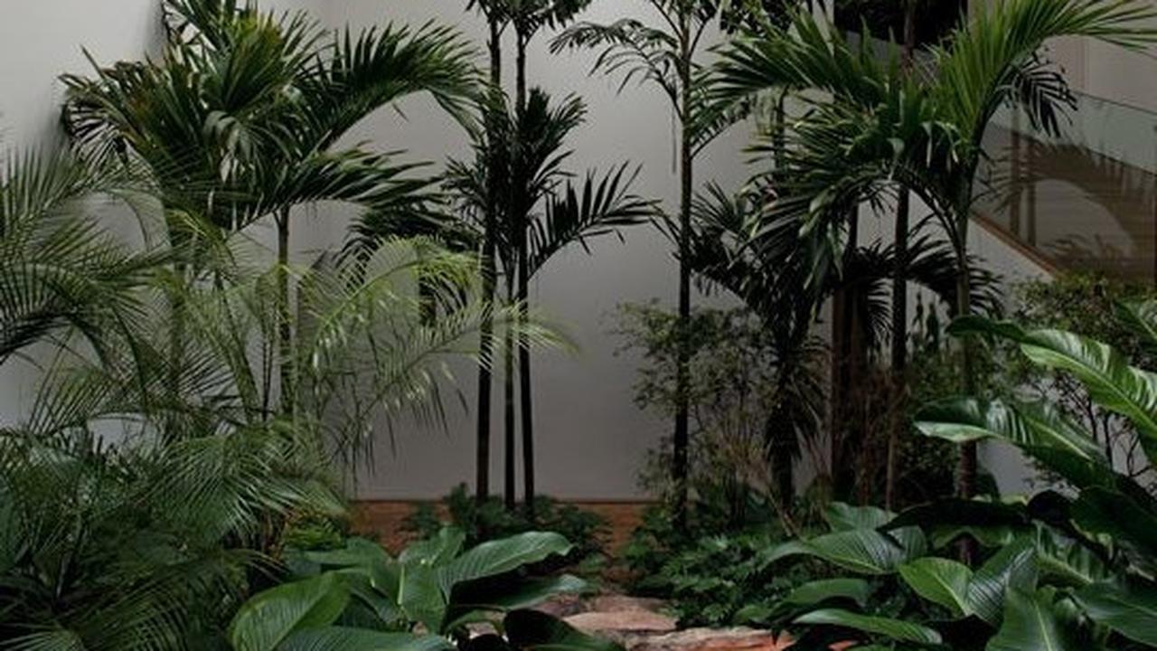 Ide Taman Dalam Rumah