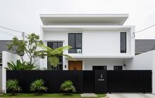 10 Warna Cat Rumah yang Membuat Ruangan Terlihat Lebih Elegan, Bikin Interior Terasa Mahal