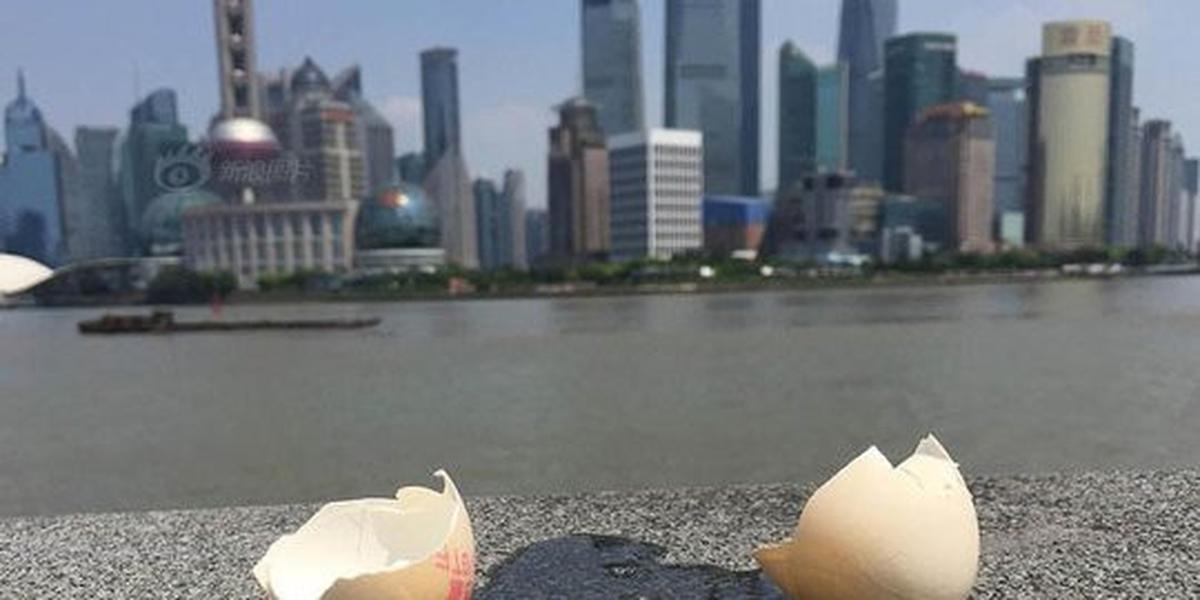 Gelombang panas di China bisa bikin telur mentah jadi matang