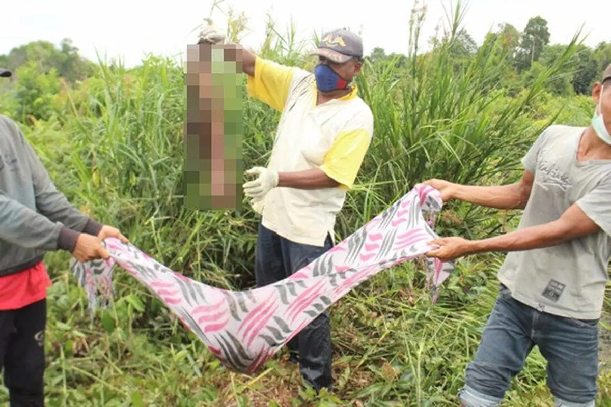 Serangan Buaya