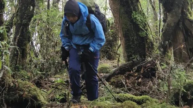 Gunung Sojol di Sulawesi Tengah. (Dok: IG @like_palu https://www.instagram.com/p/Bf27Fr0hmuU/?igsh=NGl3d3BvcG13ajRo)