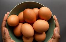 Telur Setiap Hari, Berisiko atau Aman? Ketahui Batas Konsumsinya
