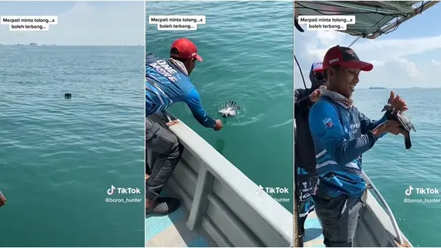 Momen Detik-Detik Penyelamatan Burung yang Terjatuh ke Laut, Tuai Pujian