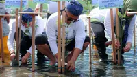 Abrasi Pesisir Banten Rusak Makam dan Rumah, Ribuan Pohon Mangrove Ditanam