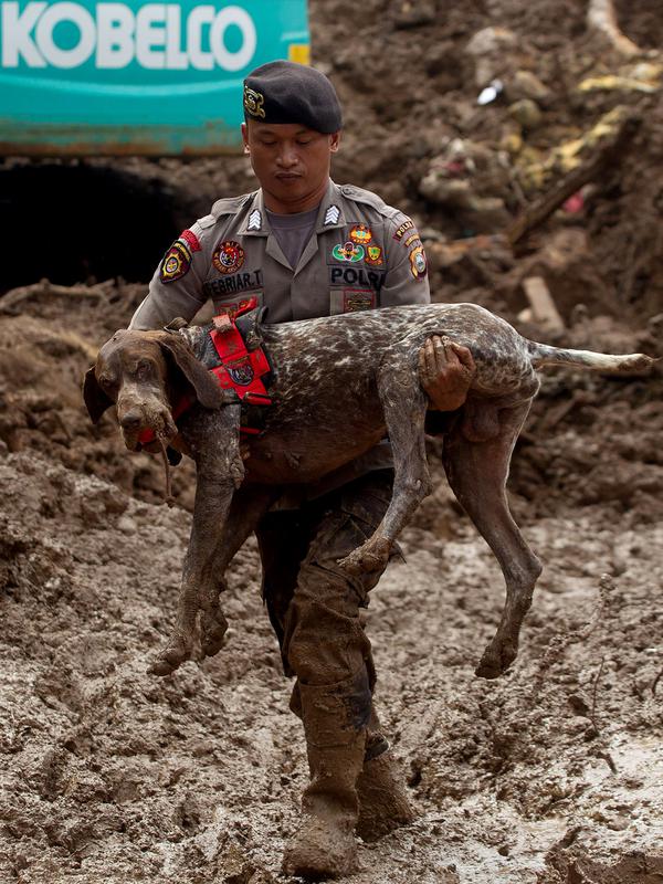 Tim SAR membawa seekor anjing pelacak ketika mencari korban tanah longsor di Gowa, Sulawesi Selatan, Jumat (25/1). Tim SAR juga menurunkan sejumlah alat berat untuk mempermudah proses evakuasi korban. (YUSUF WAHIL/AFP)