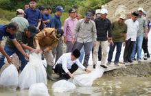 Pemprov Jambi Tebar 10 Ribu Benih Ikan di Danau Kerinci: Perkuat Ekosistem dan Kesejahteraan
