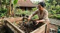 Cara Mengolah Sampah Dapur Jadi Pupuk Tanpa Bau, Praktis dan Ramah Lingkungan