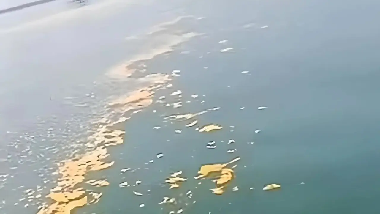 Perairan pesisir pantai utara (pantura) di Desa Tanjung Burung, Kecamatan Teluknaga, Kabupaten Tanggerang, Banten diduga tercemar limbah minyak.