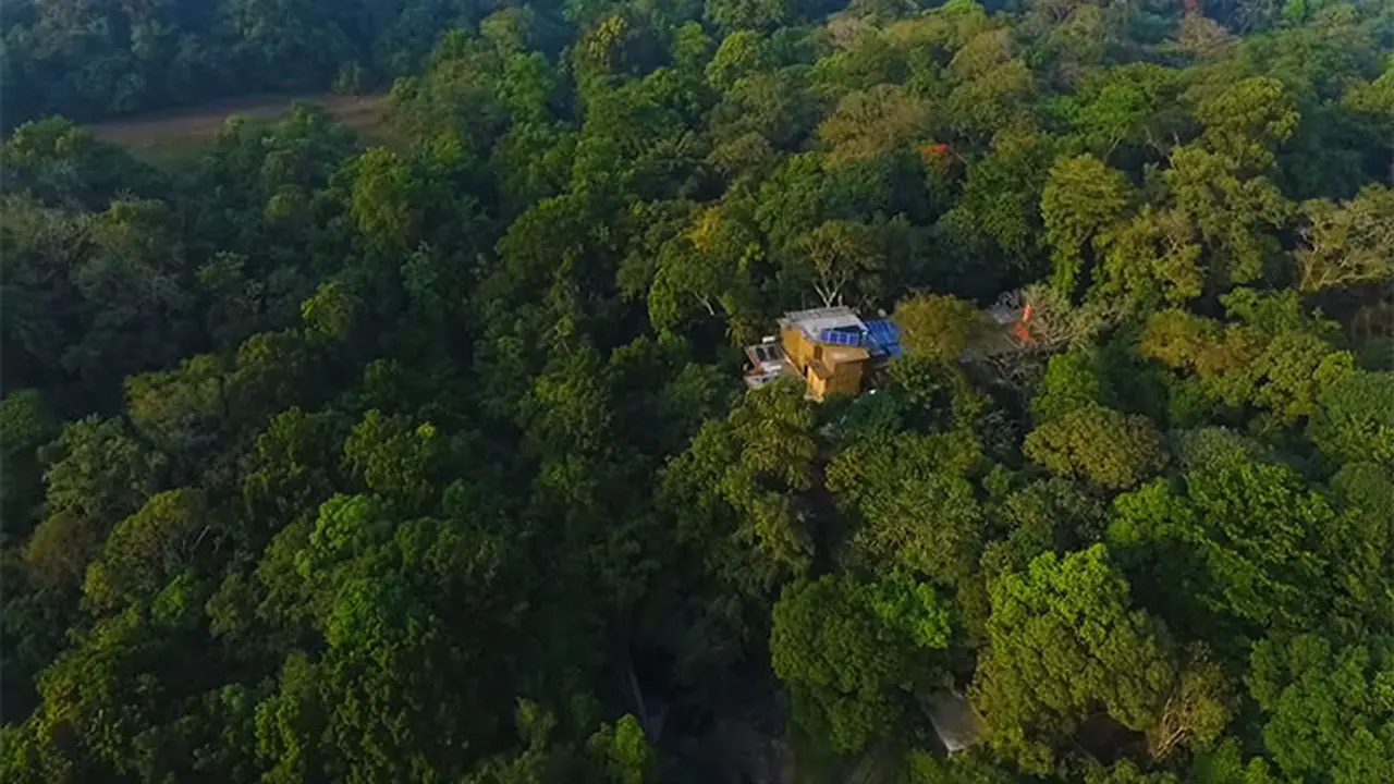 Menghabiskan Waktu 26 Tahun, Untuk Membangun Kembali Hutan Hujan