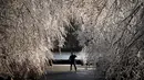 Seorang pria mengambil foto pohon beku saat badai musim dingin di West Orange, New Jersey (18/12/2019). Sejumlah orang menantang hawa dingin untuk berfoto dan menikmati pemandangan di The Waterfront at South Mountain Recreation Complex. (Rick Loomis/Getty Images/AFP)