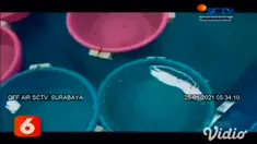 Praktik jual beli benih lobster atau benur ilegal yang ada di kawasan Pantai Tulungagung dan Blitar Jawa Timur, dibongkar aparat Ditpolairud Polda Jatim. Dari hasil pengungkapan tersebut, polisi menangkap dua pelaku, serta menyita barang bukti 3.149 ...