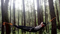 Hutan Pinus Motilango di Gorontalo bisa menjadi destinasi wisata alternatif bagi mereka yang ingin mendapatkan suasana pagi setiap saat. (Liputan6.com/ Arfandi Ibrahim)