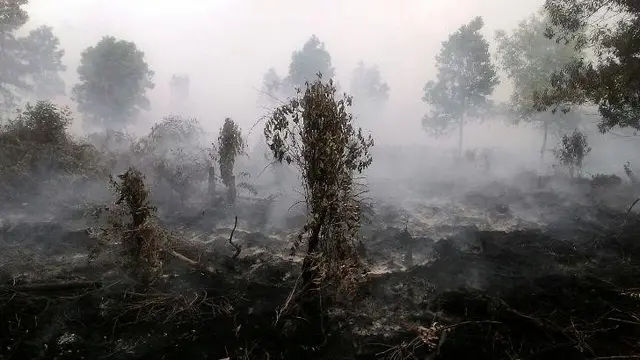 Karhutla Riau