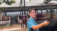 9 Potret Ruben Onsu Cari Sapi Kurban Usai Batal Naik Haji Terkendala Visa Furoda 2025