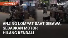 Pemotor kehilangan kendali saat melintas di Jalan Raya Wangandowo, Pekalongan. Satu anjing yang diangkut tiba-tiba lompat dari motor