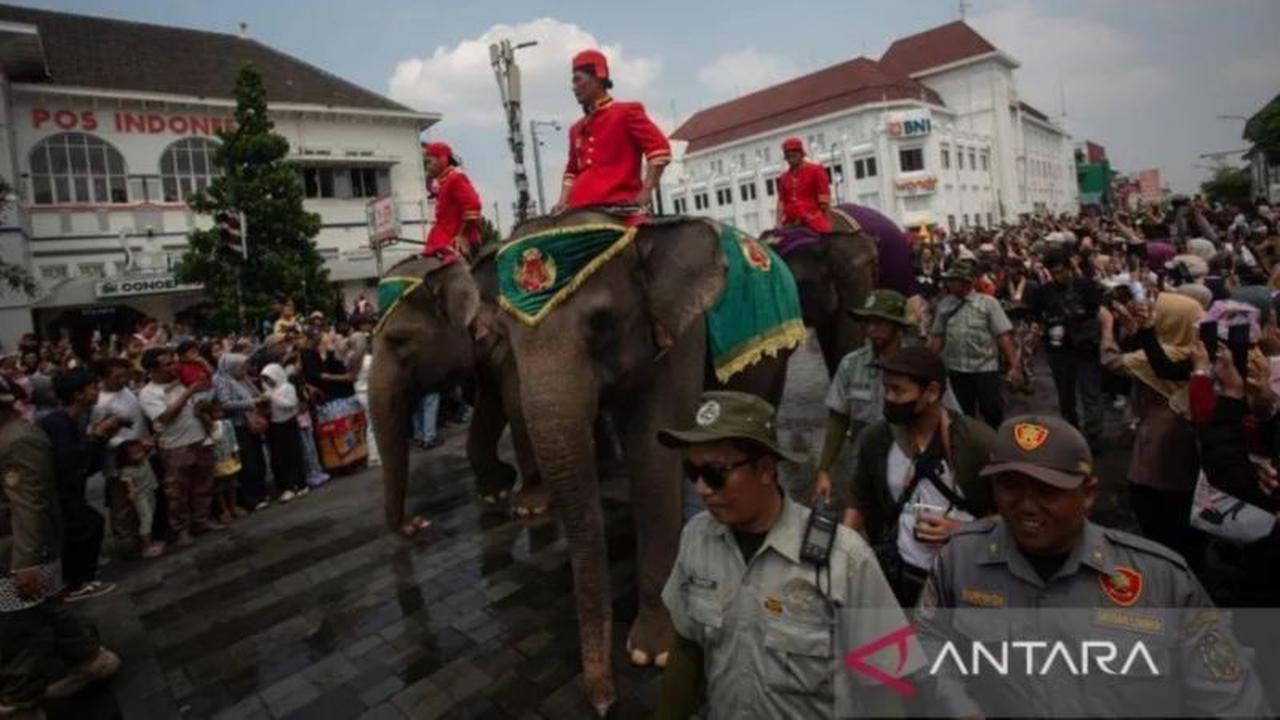 Keraton Yogyakarta Pastikan Grebeg Syawal 2026 Tanpa Gajah, Patuhi Aturan Konservasi