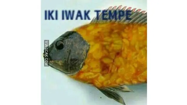 6 Cara Nyeleneh Makan Tempe Ini Bikin Geleng Kepala