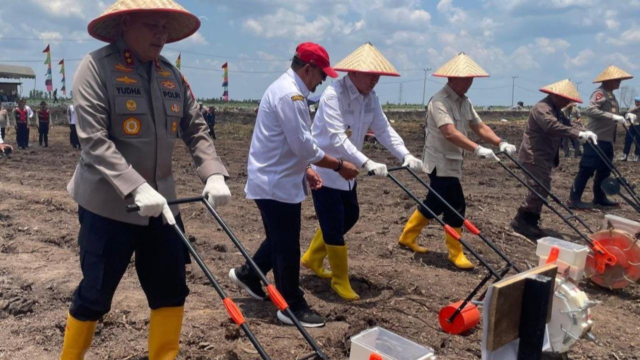 Gubernur Kalimantan Selatan, Muhidin melakukan tanam jagung serentak bersama Forkompida Kalsel