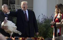 Ancaman Trump ke Iran Picu Kepanikan: Bursa di Jepang dan Korea Selatan Rontok Drastis
