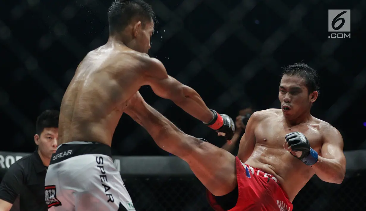 Petarung Filipina, Robin Catalan, menendang petarung Indonesia, Stefer Rahardian, pada laga ONE Championship di Istora Senayan, Sabtu (19/1). Stefer Rahardian takluk dari Robin Catalan. (Bola.com/M Iqbal Ichsan)