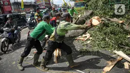 Petugas Suku Dinas Kehutanan Jakarta Timur menebang pohon di sisi jalan raya Bogor, Jakarta, Kamis (9/3/2023). Penebangan pohon dilakukan untuk antisipasi cuaca buruk yang seringkali mengakibatkan tumbangnya pohon di berbagai kawasan ibu kota.  (Liputan6.com/Faizal Fanani)