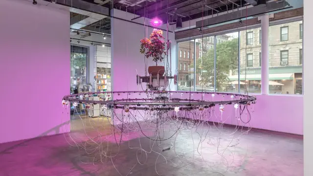 RUANG// Journal, Seni yang Bicara Teknologi dan Lingkungan