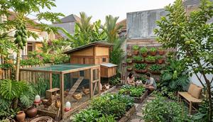 Cara Membuat Halaman Rumah Produktif dengan Ayam dan Tanaman Buah (Sumber: gemini.com)
