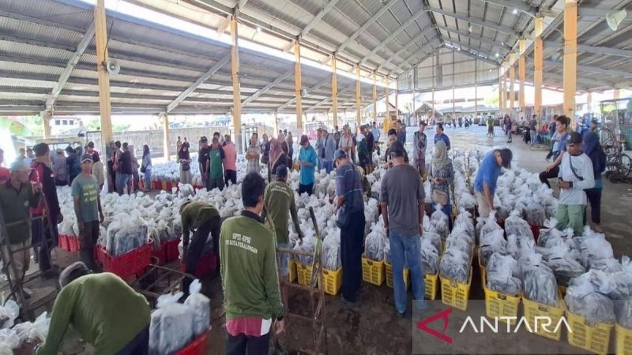 Lelang Ikan TPI Pekalongan Melonjak Drastis, Ekonomi Lokal Bergairah