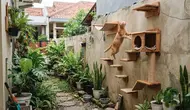 9 Cara Membuat Sudut Bermain Kucing di Pekarangan Rumah yang Sempit, Tetap Nyaman