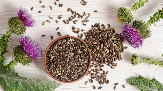 Bunga Thistle