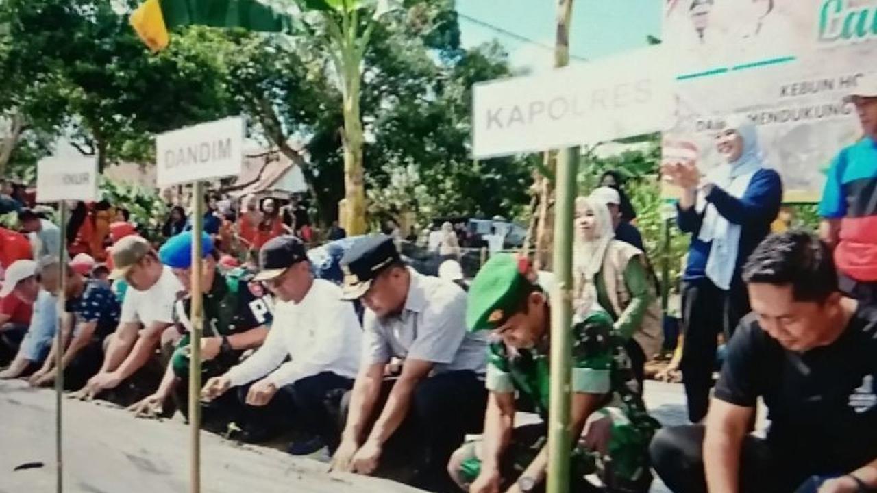 Fakta Unik Kebun MBG Terintegrasi Bone: Dukung Gizi dan Ekonomi Lokal, Diluncurkan Gubernur Sulsel!