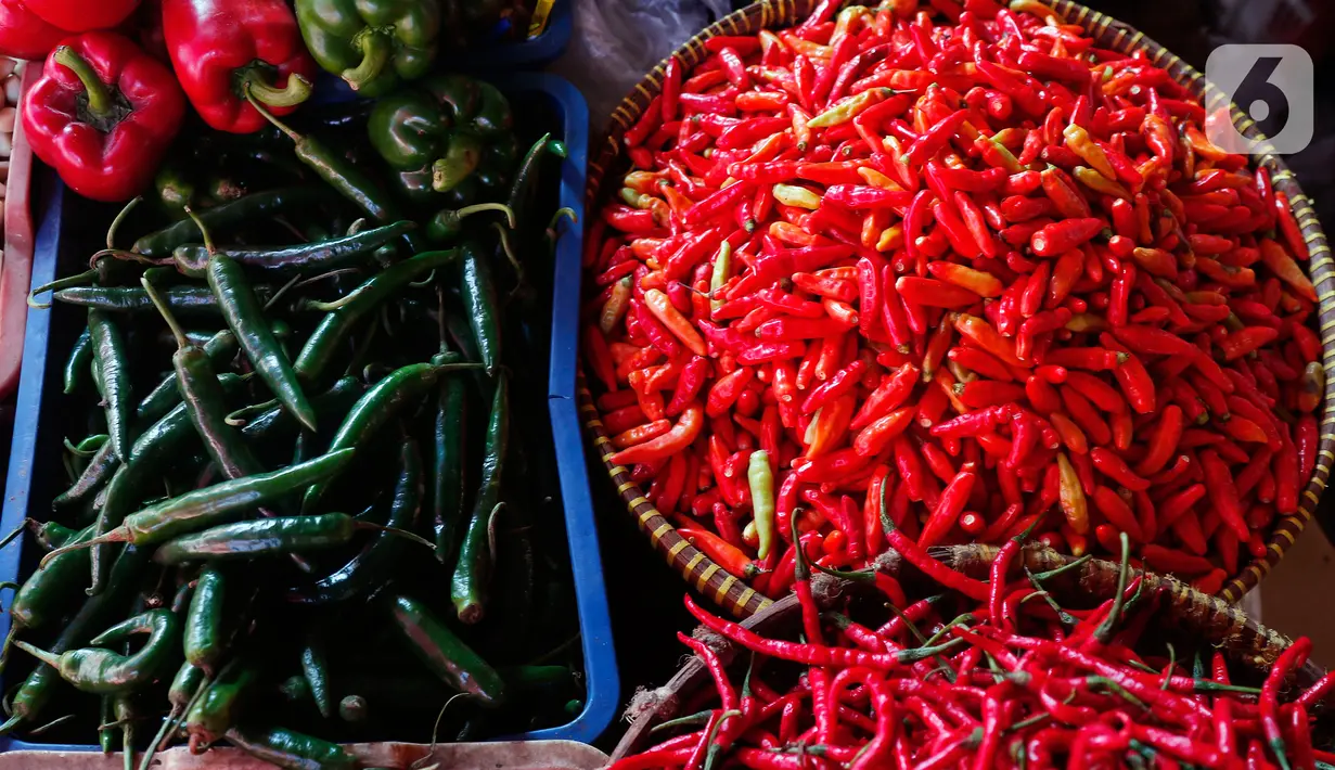 Aneka jenis cabai dijual di Pasar Kebayoran, Jakarta, Selasa (7/3/2023). Harga cabai rawit merah di DKI Jakarta terpantau naik sudah menembus Rp 100 ribu per kilogram. (Liputan6.com/Angga Yuniar)