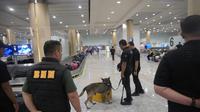 BNNP Bali saat melakukan pemeriksaan barang di Bandara I Gusti Ngurah Rai, Bali. (Liputan6.com/Destarita Rahmawati)