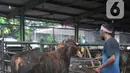 Pemeriksaan juga meliputi kebersihan hewan kurban. (merdeka.com/Imam Buhori)