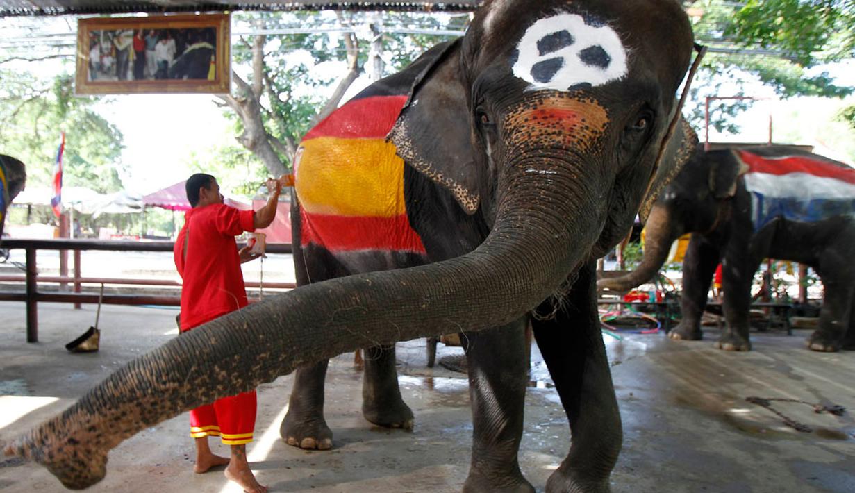 Sebelum berlaga, para pawang membuat gambar bendera negara yang akan berlaga di Piala Dunia 2014 di tubuh gajah, (9/6/2014). (REUTERS/Chaiwat Subprasom)