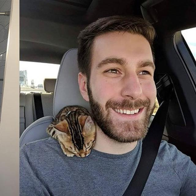 6 Potret Cowok Ganteng Sama Kucing Peliharaannya Ini Bikin Terpesona Hot Liputan6 Com
