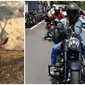 6 Gaya Dodit Mulyanto dengan Motor Harley Davidsonnya yang Keren Abis (sumber:Instagram/dodit_mul)