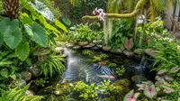 9 Ide Halaman Belakang Rumah dengan Kolam Ikan Kecil Alami, Asri dan Menenangkan