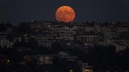 Super Moon terbit di atas Istanbul, Turki, Kamis (11/8/2022). Bulan Purnama Agustus 2022 akan menjadi fenomena Supermoon terakhir tahun ini. Bulan Purnama Agustus dijuluki "Sturgeon Moon". (AP Photo/Khalil Hamra)