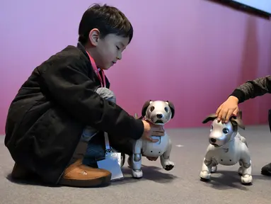 Dua orang anak bermain dengan robot anjing dari Sony, Aibo setelah setelah upacara ulang tahun sekaligus peresmiannya di Tokyo, Jepang (11/1). (AFP Photo/Kazuhiro Nogi)