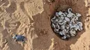 Seekor tukik penyu hijau merayap keluar dari sarangnya menuju arah laut di sebuah pantai Pulau Manda, Kenya, 18 Juni 2019. (TONY KARUMBA/AFP)