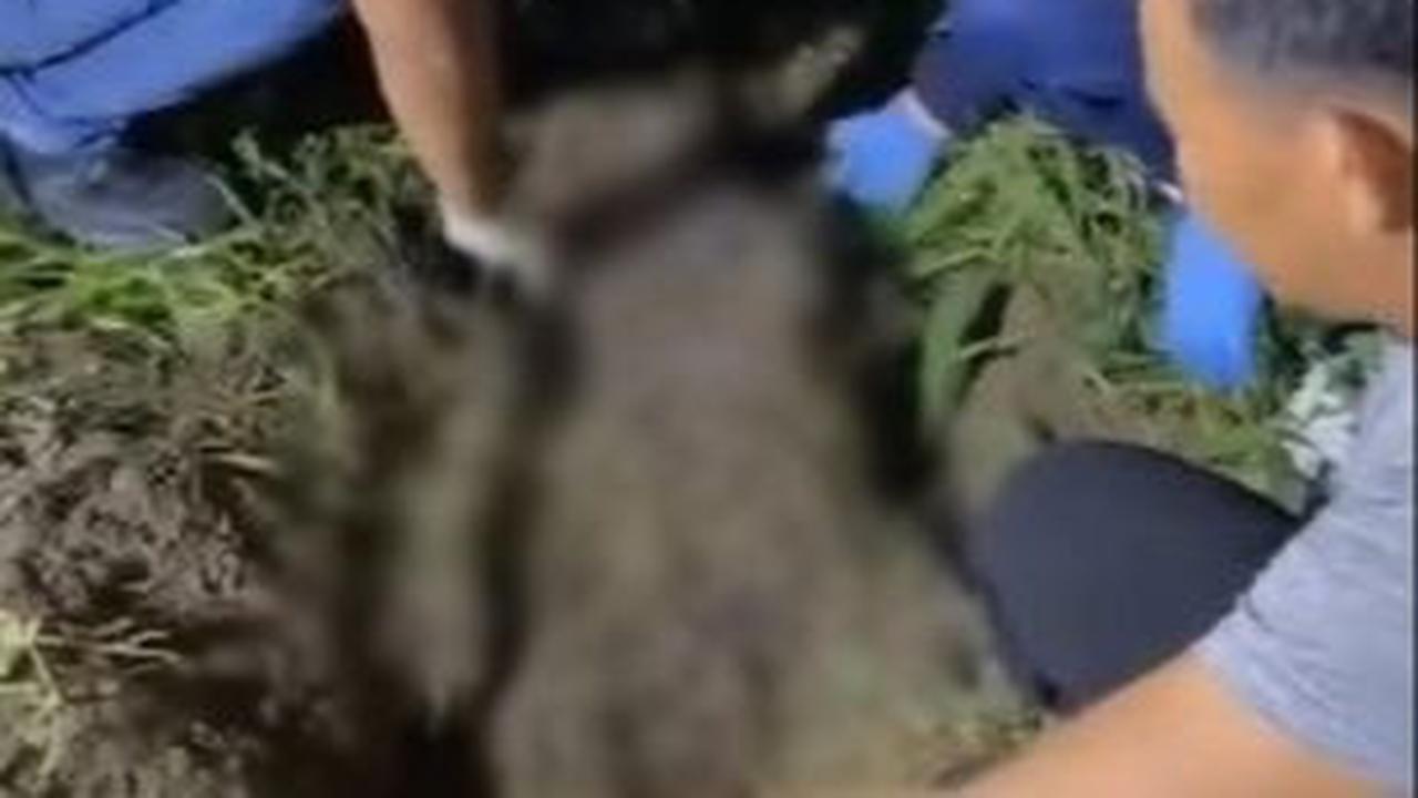 Polisi Temukan Jasad Korban