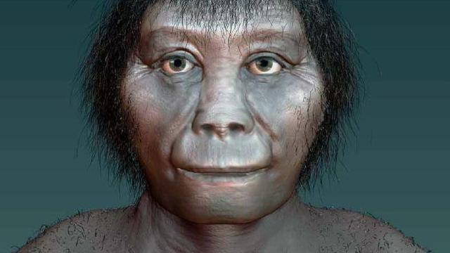 Studi Nenek Moyang Manusia Kerdil Flores Berasal Dari Afrika Global Liputan6 Com