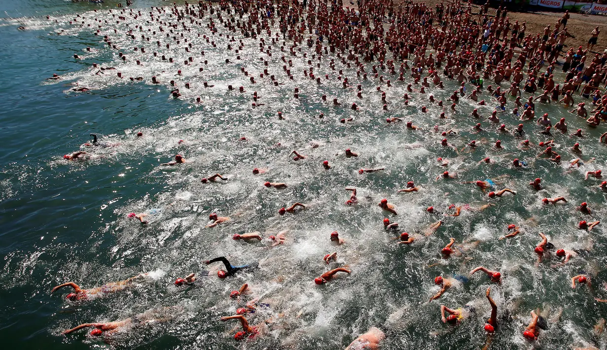 Peserta lomba renang saat bersaing menyeberangi Danau Zurich, Swiss (24/8). Lomba sejauh 1,5 km ini diikuti oleh ratusan orang mulai dari anak muda hingga orang tua. (REUTERS/Arnd Wiegmann)