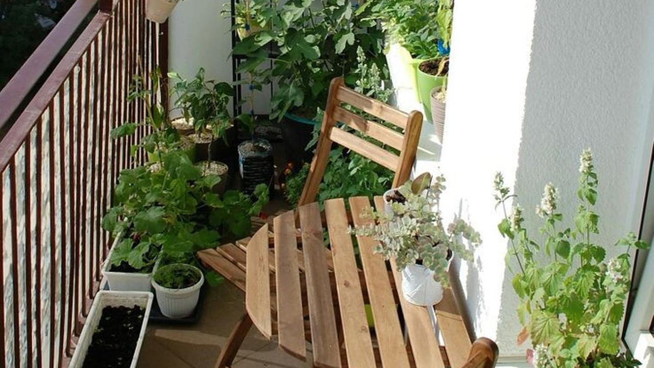 5 Desain Balkon Kamar Minimalis yang Bisa Mengubah Tampilan Rumah Anda Terlihat Semakin Nyaman