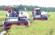 Data BPS: Nilai Tukar Petani 0,22 Persen Per Maret 2025